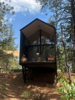 BosqueCielo Cabañas Diseño Natural Arte Galeria - 4