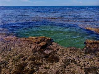 Casitas La Playa - 8