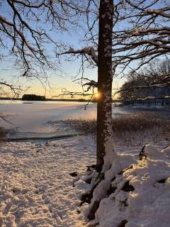 Traditional Swedish House In The Forest - 9