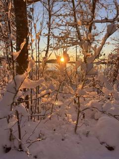 Traditional Swedish House In The Forest - 7