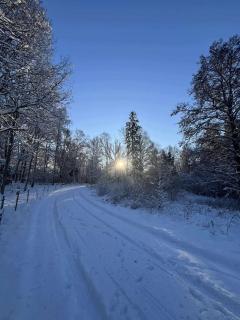 Traditional Swedish House In The Forest - 3