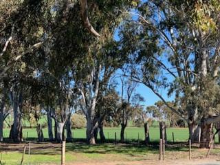 Tickles Cottage in a beautiful Rural Setting - 6