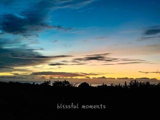 Blissful Moments - 0