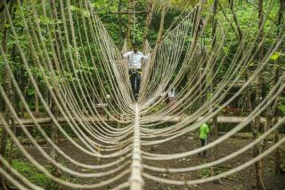 Nature Trails Sajan, Vikramgad - Kudān - 3