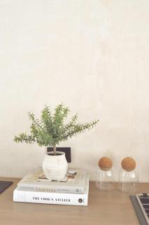 Kasa Dharma an oceanfront House - 3