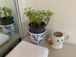 Amazing Stunning Garden View King Bedroom with shared bathroom at MC 2079 - 6