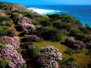 The Dunes Studio Retreat - 6