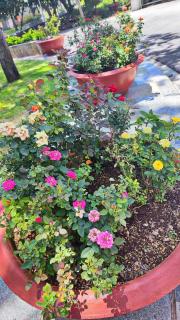 Song Ngọc Hotel Phan Thiết - 6