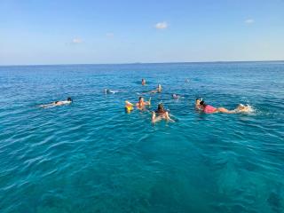 Coconut Palm Dhidhoo - 1