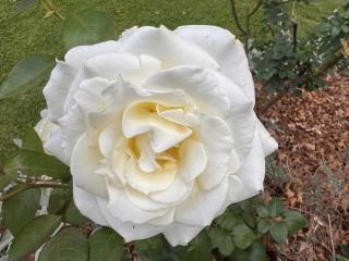 Tambo Touchdown Suites - 8