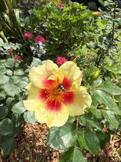 Tambo Touchdown Suites - 3