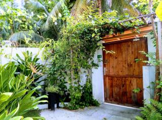 White Tern Maldives - 6