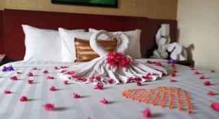 Asialink Premier - 7