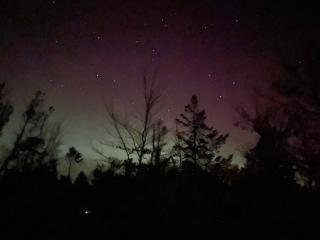 Unique Location On A Large Sunny Natural Plot - 4