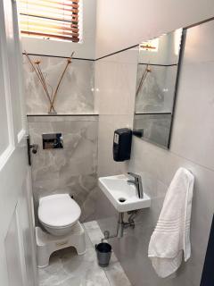 Monmouth House, Musgrave - 9