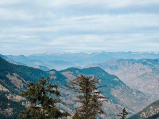 Oran Stays Shoja - 7