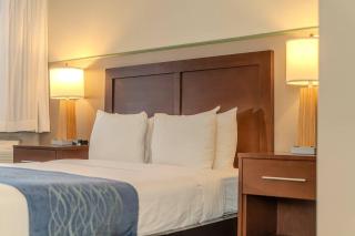 Comfort Inn & Suites - 3