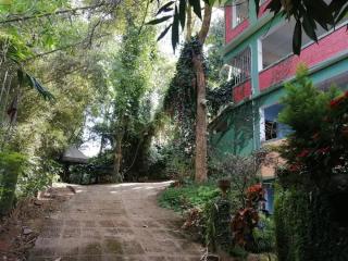 Tapovan Fruitopia - 1