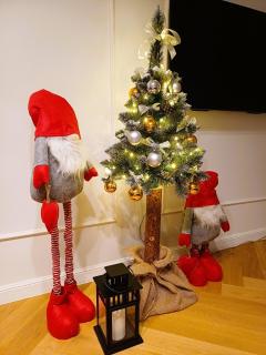 Apartament Strzelecka 19 - 0