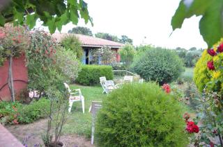 CASA-CORSA chambre d'hote - Cervione - 4