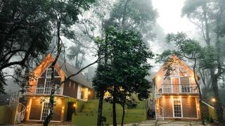 Kings Holidays Munnar - 0