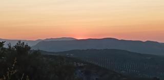 GP Cortijo Palmera - Cortijo de las Chozas - 6