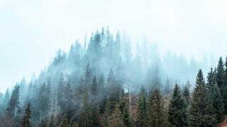 Hanul și Păstrăvăria Țibău - 4