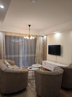 comfort apartments with ample parking space, swimming pool, modern equipped gym, and amazing city views - 8