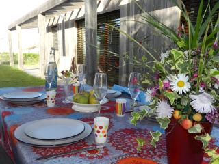 Gite Le Koto - Thorigny - 9