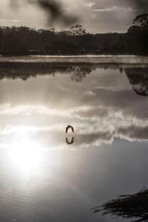 Riverfront Luxury Stay Tiny House Sauna and Bath - 5
