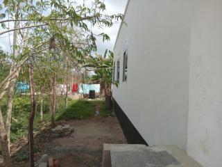 apollo bed and breakfast - 6