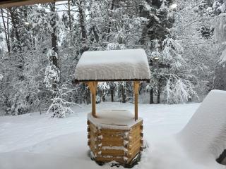 Domek w lesie na odludziu - Beskid Niski - 7