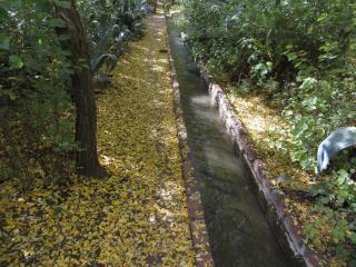 Country Cottages - 1