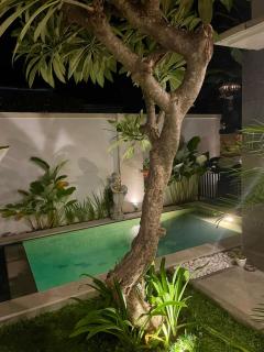 Villa with private pool - 9