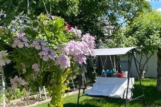 The Nesting Suite - 7