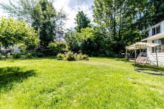 The Nesting Suite - 1