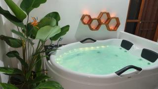 The Cat And The Kraken Paliton Jacuzzi Suites with Solar and Starlink - 6