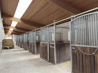 Gemütliche Unterkünfte auf dem Reiterhof in Eschede - 1