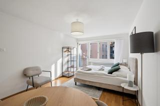 Studio in the heart of Zurich - Crown 24 - 3