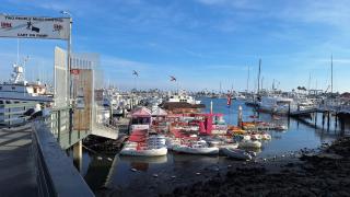 Coastal SD Retreat Studio Pets Close to Ocean - 6