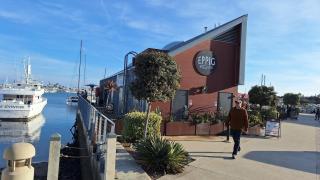 Coastal SD Retreat Studio Pets Close to Ocean - 5