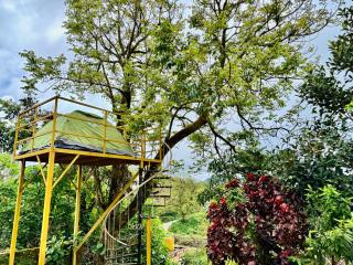 ABODE Backpacker's Hostel - 8