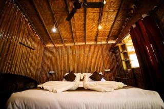 Wild leaf Dandeli - 3