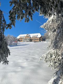 Berghaus Freiburg - Appartement Hotel auf dem Schauinsland - 8