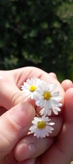 Emarmene Peaceful Agrotourism Retreat with Sea & Mountain Views - 0