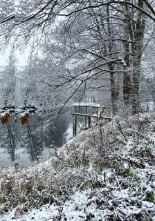 Masuria Warsaw - dom na wyłączność - w lesie i przy rzece - 15 min od Warszawy - 6