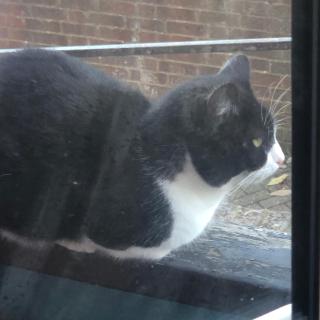 Hunters Apartment & rooms - 8