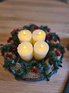 Apartment Rosa12 - das Tor zur Sächsischen Schweiz, neu und zentral! - 8