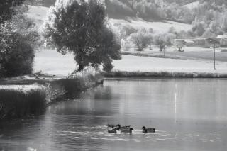 Gîte Puivertain - 6