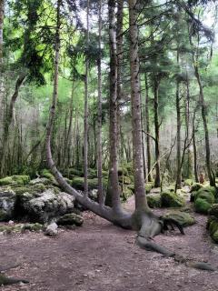 Gîte Puivertain - 5